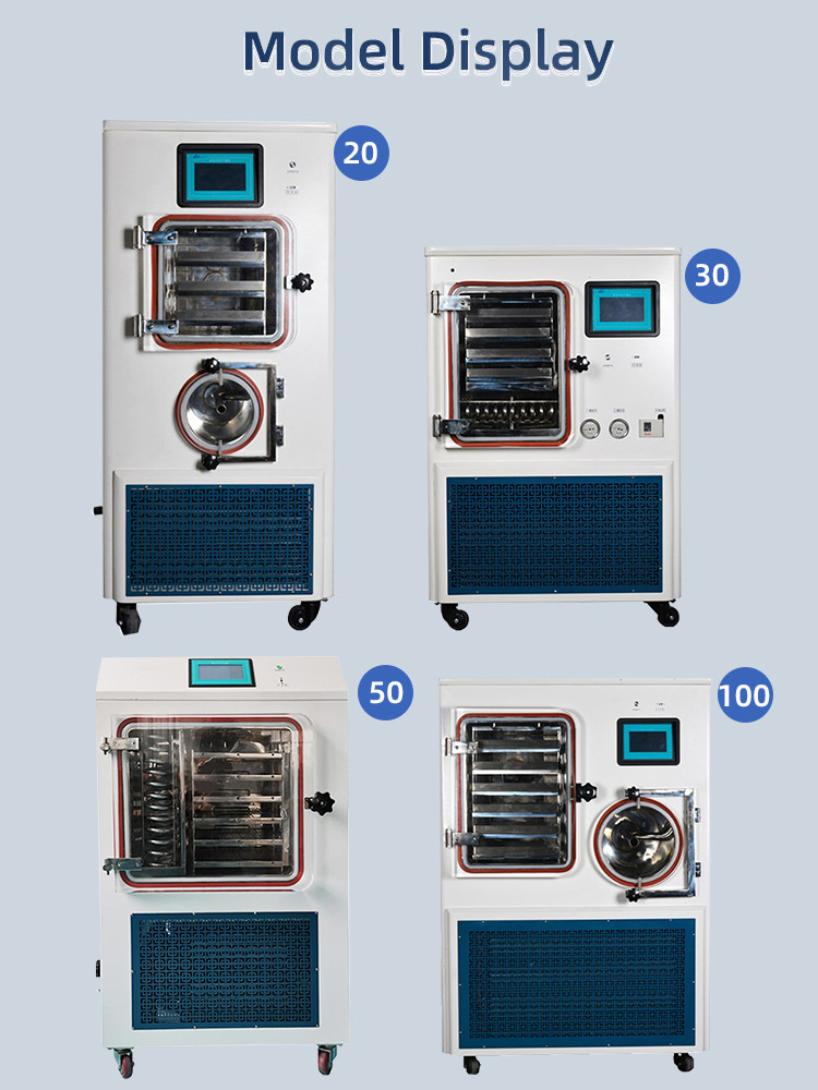 Laboratory Silicone Oil Heating Vacuum Freeze Dryer Machine