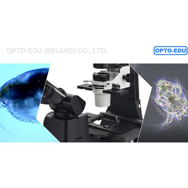 OPTO EDU A14.1065 Tilting Inverted Phase Contrast Microscope