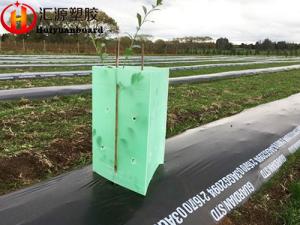 Quality Lightweight Foldable Triangular Corflute Tree Guards for sale