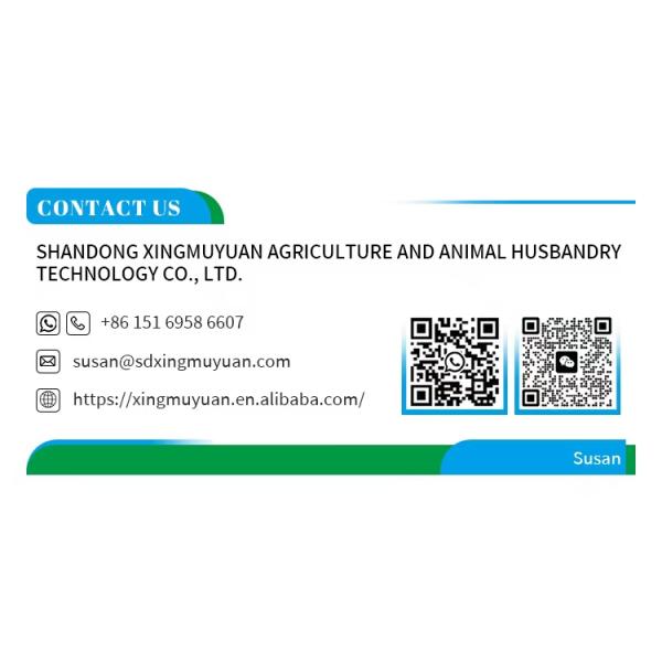 Source Factory Stainless Steel Roof Ventilating Fan Without Power Wind Drive Poultry Pig Farm Turbine Roof Exhaust Fans