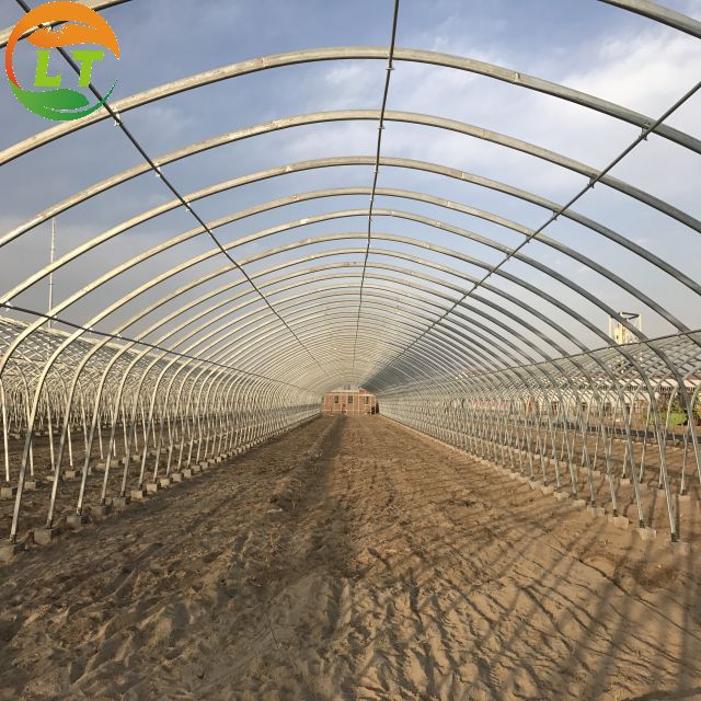 Customized Size Mushroom Growing System for Microgreens in High Tunnel Greenhouse