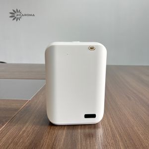 ODM Nebulizer Aroma Scent Diffuser Upscale Environmental Friendly