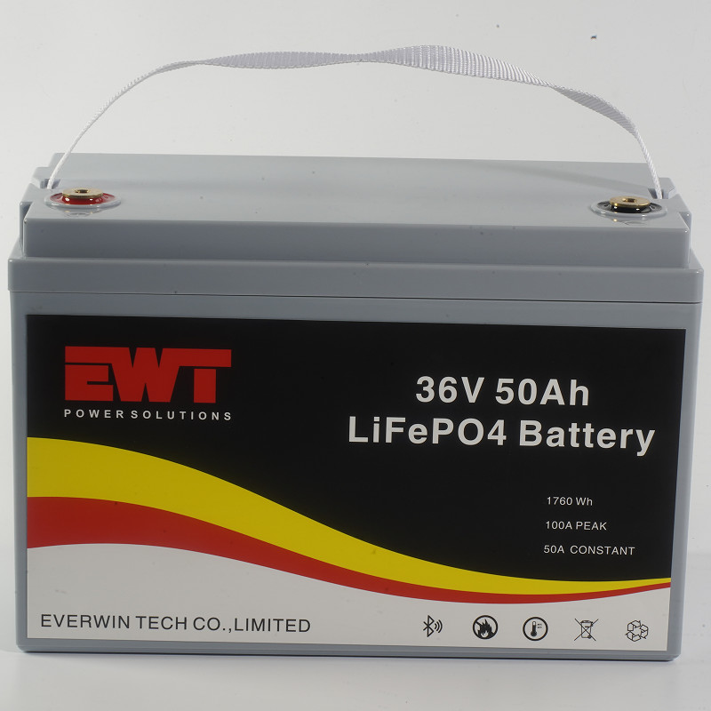 Rechargeable LiFePO4 Lithium Ion Battery Pack 36V 50Ah 1760Wh Battery For Golf Cart