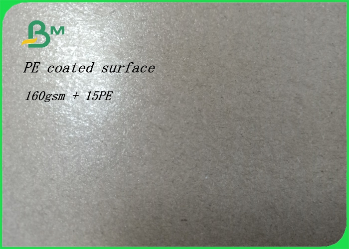 Degradable safety 35 - 300gsm PE-coated kraft paper roll for food box 