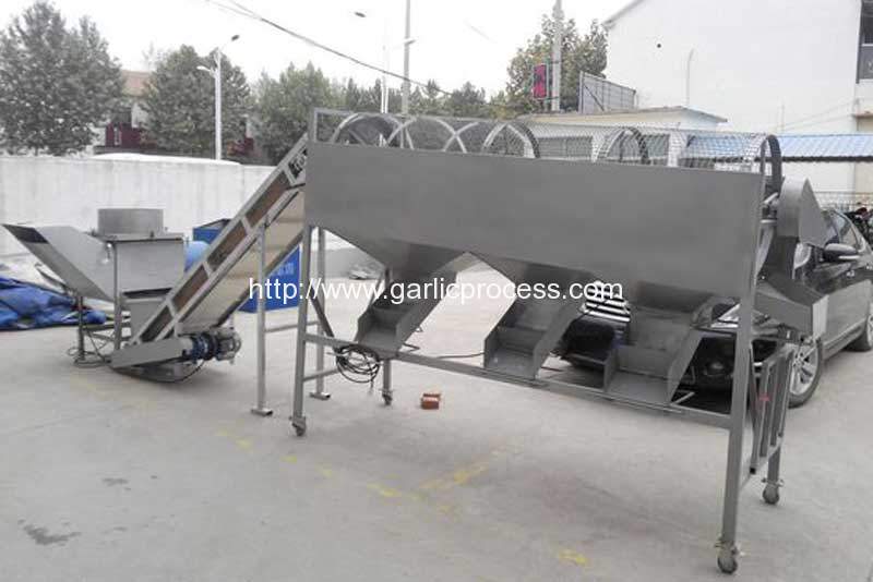 automatic-garlic-separating-and-grading-machine