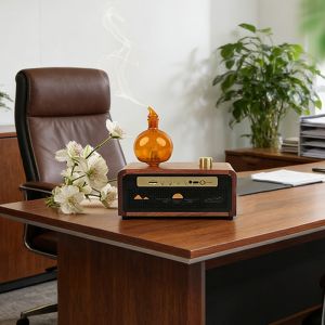 Quality Intelligent Intermittent Mist Home Aroma Diffuser With Bluetooth Audio for sale