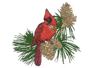 Quality Bird Machine and Home Embroidery Designs digitizing on the pinetree for sale