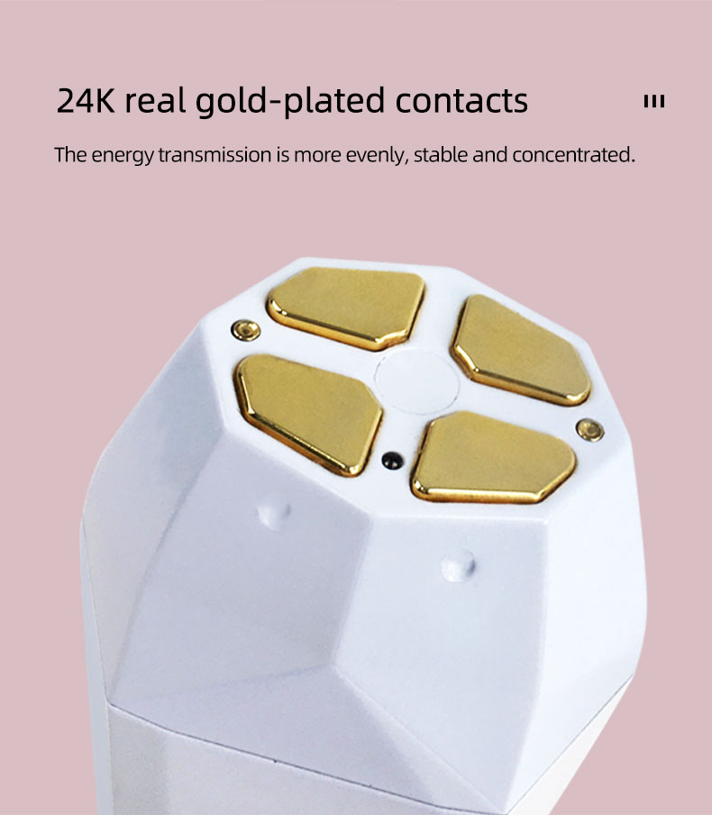 2021 Newest Facial Beauty Device Rf Ems Functions Portable Photon Multifunctional Beauty Device