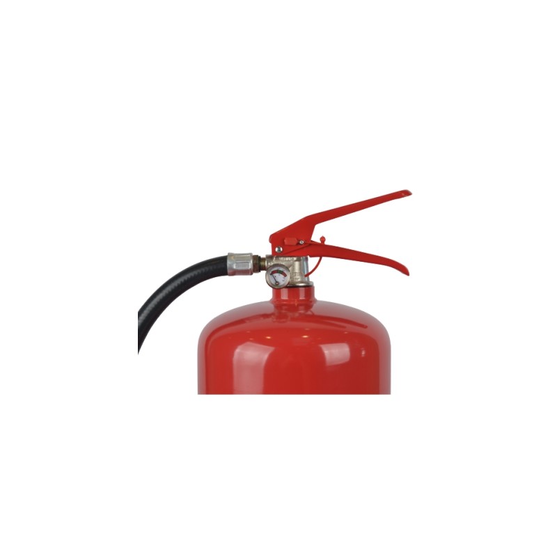 Customized Steel 12 Foam Cartridge Fire Extinguisher 6L Safety Protection