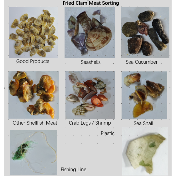 High Accuracy Fried Clam Meat Color Sorter Machine