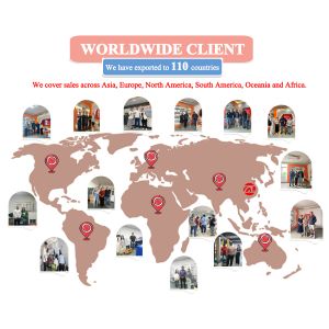 ASTM F1614 ASTM F1976 Shoe Cushioning Performance Tester