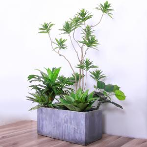 Quality Natural Wood Artificial Landscape Trees Lily Bamaboo For Home Decor Evergreen No Water for sale