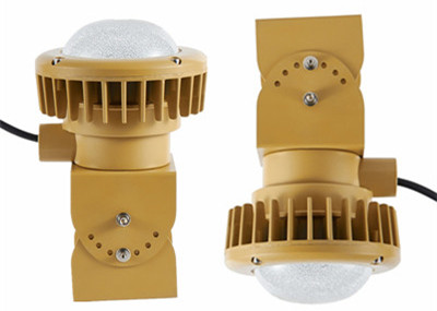 IP65 30 Watts Hazardous Area Explosion Proof LED Light Fixture CE ATEX