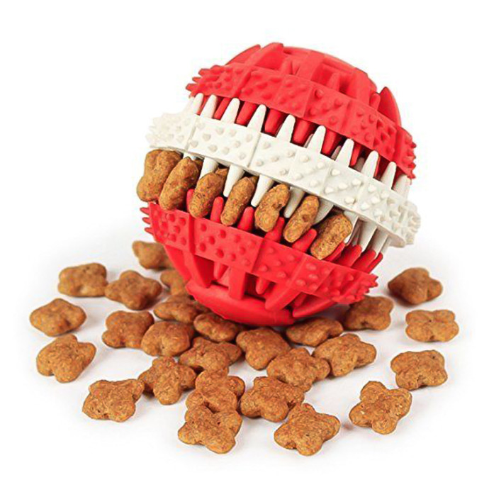 the best chew toys for dogs