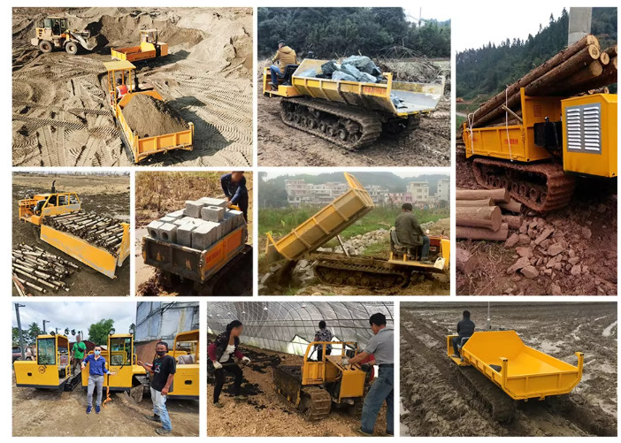 Multifunction Track Transporter 2 Ton Loading Capacity For Industry
