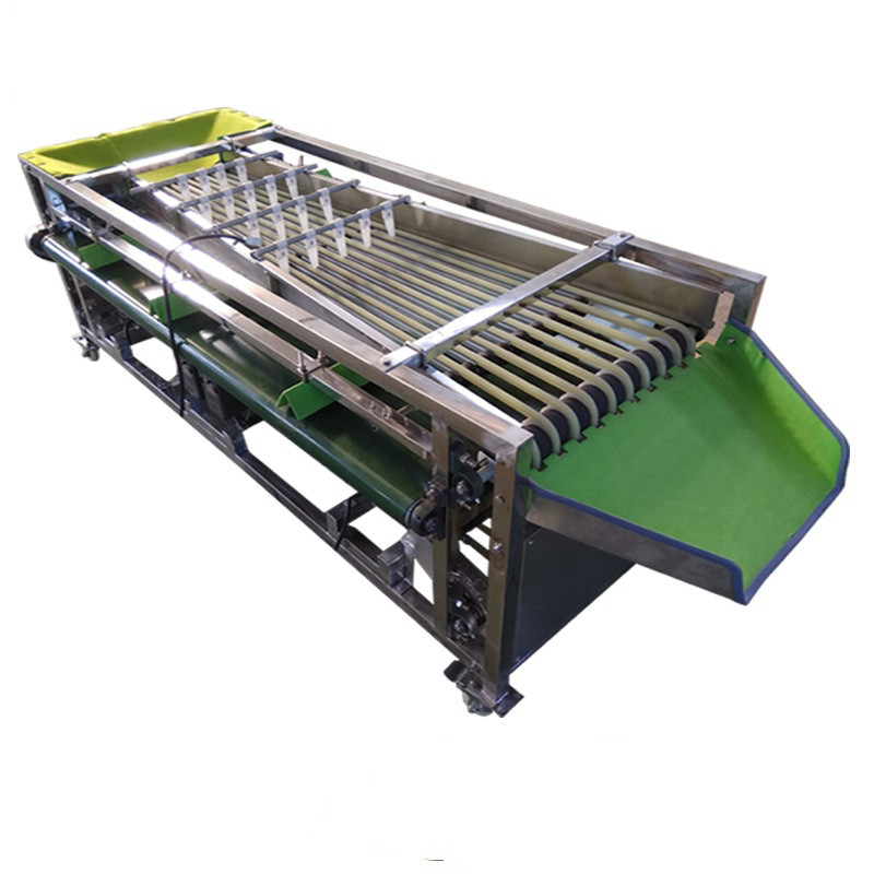 Automatic Production And Fruit Size Grader Fruit Vegetable Processing Machine With Washing Function