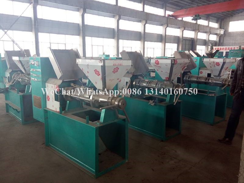 80-125kg/H Nuts Processing Machine Shea Automatic Oil Extraction Machine