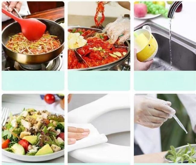 M-Xl En455 Protective Disposable Gloves Transparent Cleaning Disposable Pvc Gloves