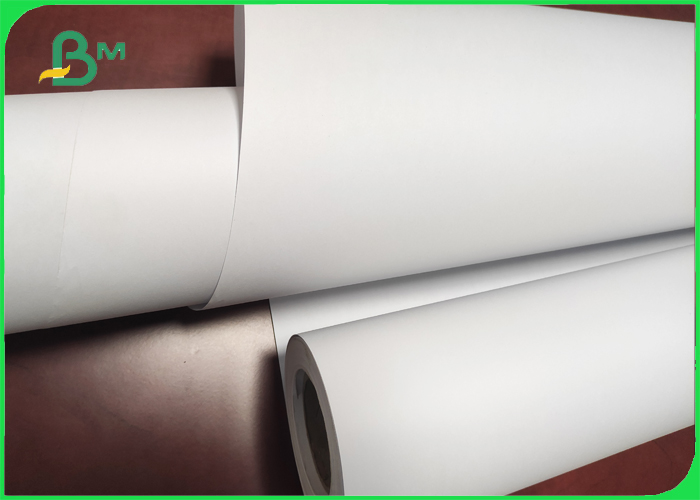 CAD plotter paper