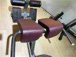 Fitness Equipment Back Exercise Adjustable Back Extension Roman Chair