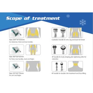 5 Handles Cryolipolysis Fat Freezing Machine , Multifunctional Cavitation RF