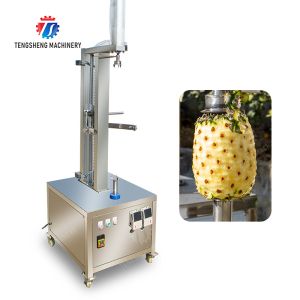 watermelon Hami Melon Vertical one knife peeling machine papaya chieh-qua