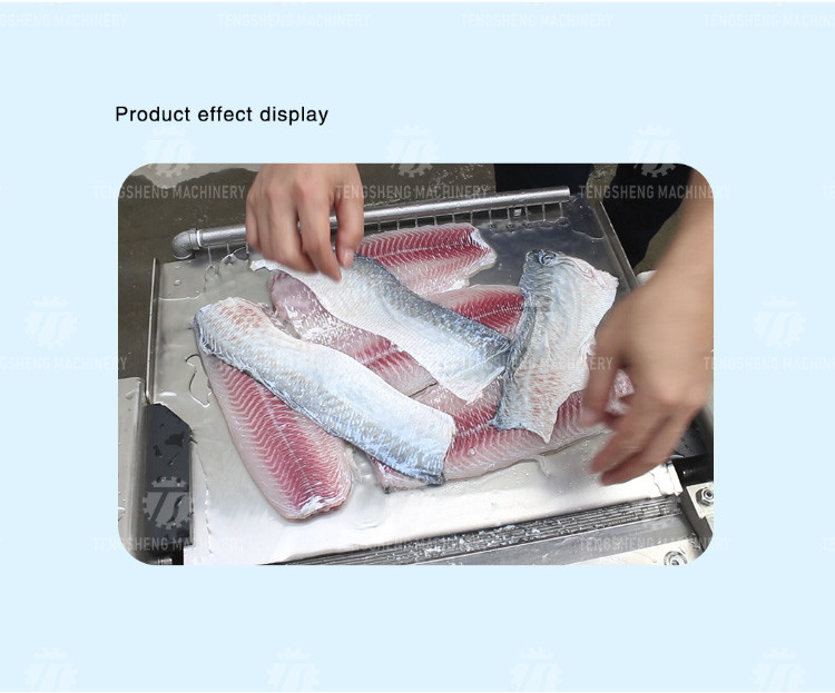 50PCS/Min Desktop Fish Processing Machine Grass Carp Peeler