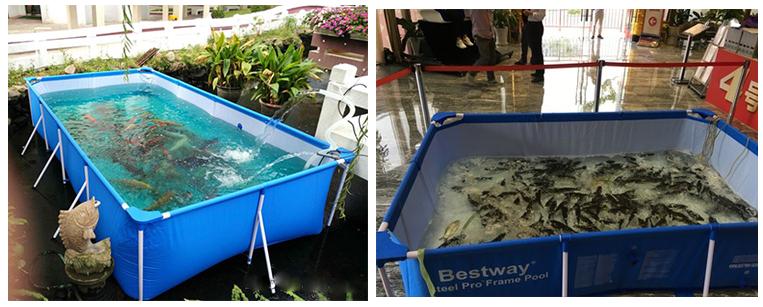 Aquaculture Fish Tank Flexible As Koi Fish Tank For Sale.JPG