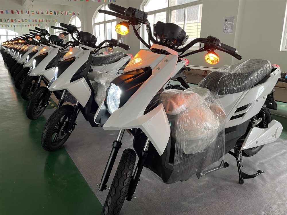 Two wheel Electric Moped For Adults TT 48V 20Ah Lithium Battery Electric Scooter