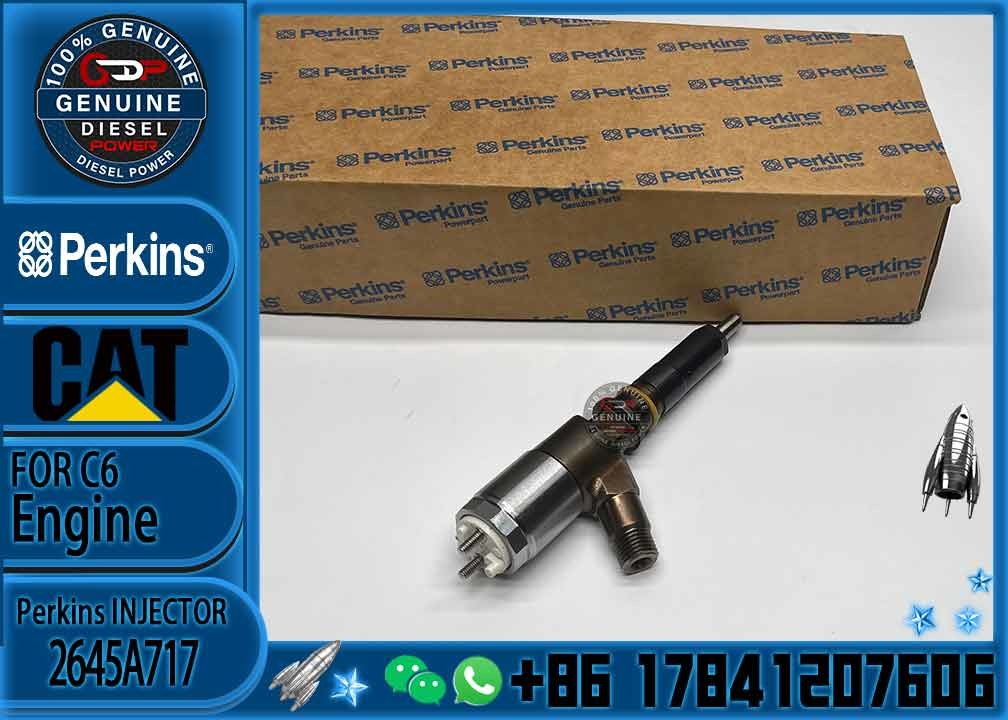 original 321D 323D excavator C6.4 C6.6 engine injector 2645A717 fuel injector 3172300 317-2300