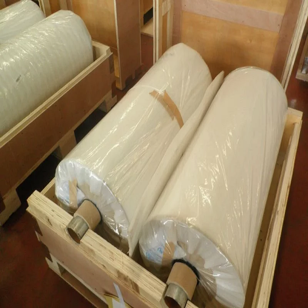 Tongxin Aluminium Foil Strip 8011 O Household Aluminium Foil Packaging Material