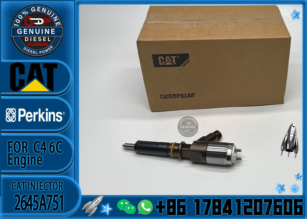 High Quality Professional Densos Gasoline Car Fuel Common Rail Diesel Electric Fuel Injector Assy 2645A751 2645A746 2645