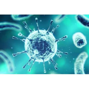 40 Test Serum / Plasma Sample IgG IgM Detection Reagent