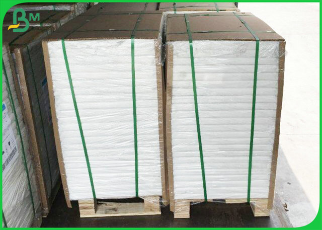 230gsm FDA Approved Paper Cup Board 70 * 100cm In Pub Office Cafeteria