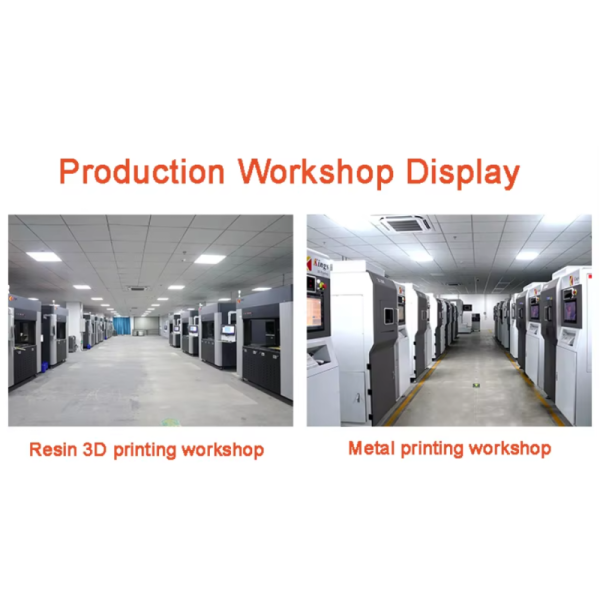 SLS/SLA/Fdm 3D Printer Rapid Model Service Customized High-Tech 3D Printing Service