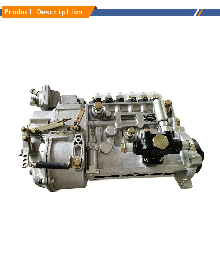 Heavy Construction Machinery Engine Parts CP61Z-P61Z616BP5B5 Fuel Injection Pump Assembly