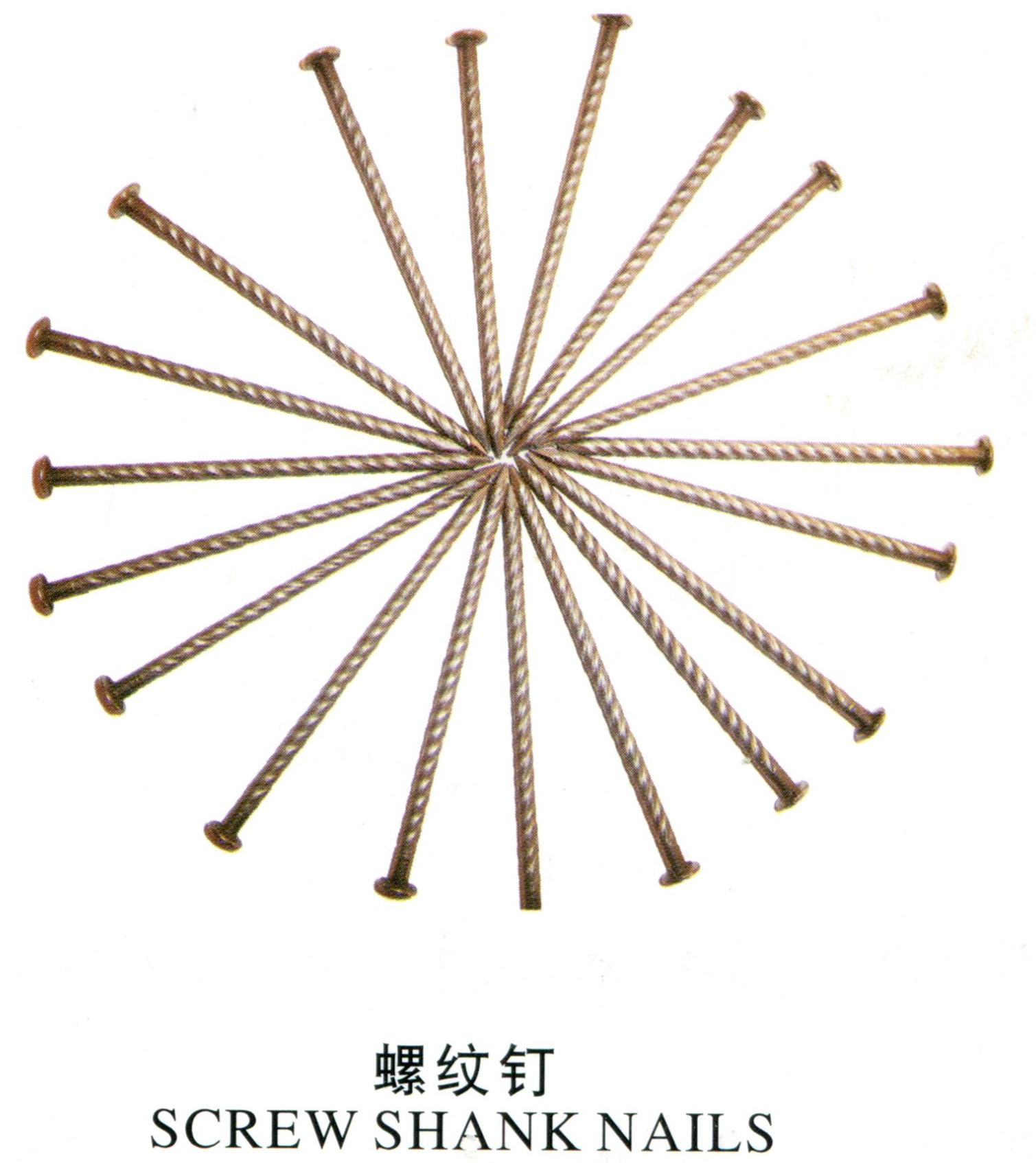 All Kinds of Nails