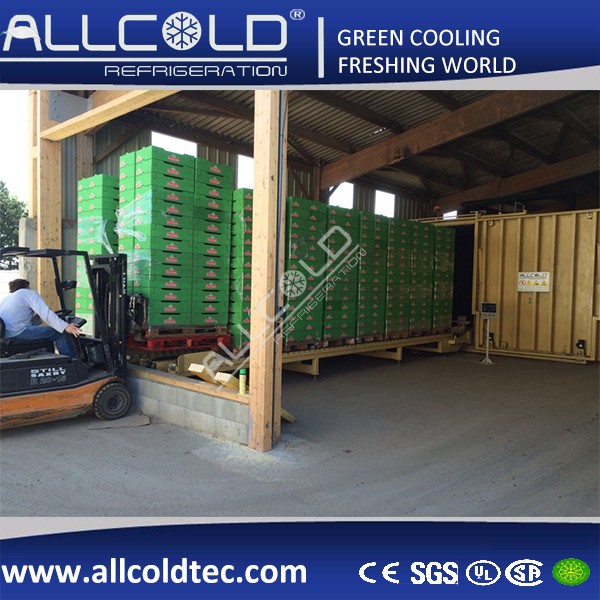 Vegetable/Cut Flower/Mushroom Vacuum Cooler(1Pallet-24 Pallets)