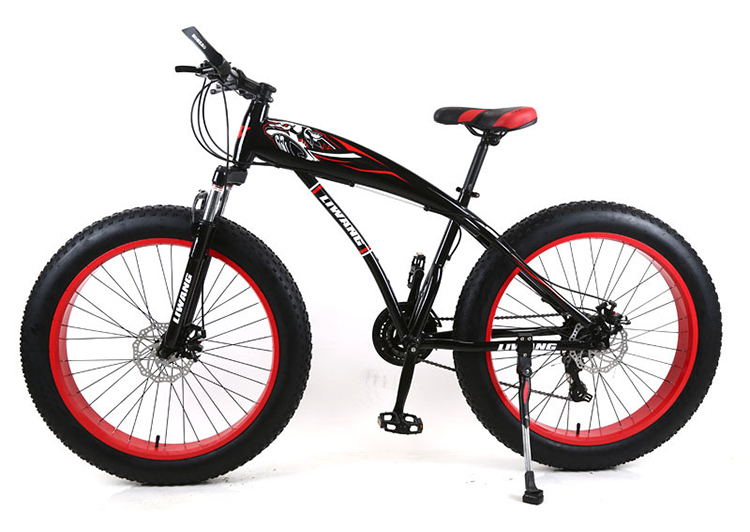 Adult Customized Mountain Cruiser Bicycle Fat Tire Mountain Bikes with 4.0 inch Tire Width and carbon steel Fork Material