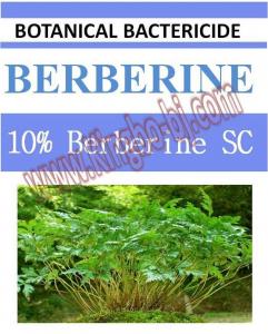 China 10% Berberine SC, biopesticide, organic bactericide, botanic, natural on sale