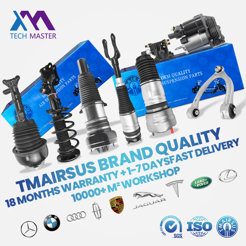 High Quality Rear Air Suspension Shock Absorber Mercedes Benz W167 GLS GLE With ADS 1673200302 1673200402