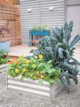 Farmhouse 80x30cm Raised Metal Garden Bed For Flower