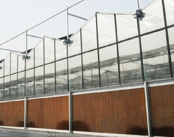 Qingzhou Factory's New Electric Honeycomb Evaporative Cooling Pad for Bee Farm Greenhouse Poultry Farm-Made from Paper