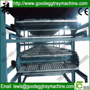 Egg Tray/Carton Drying System