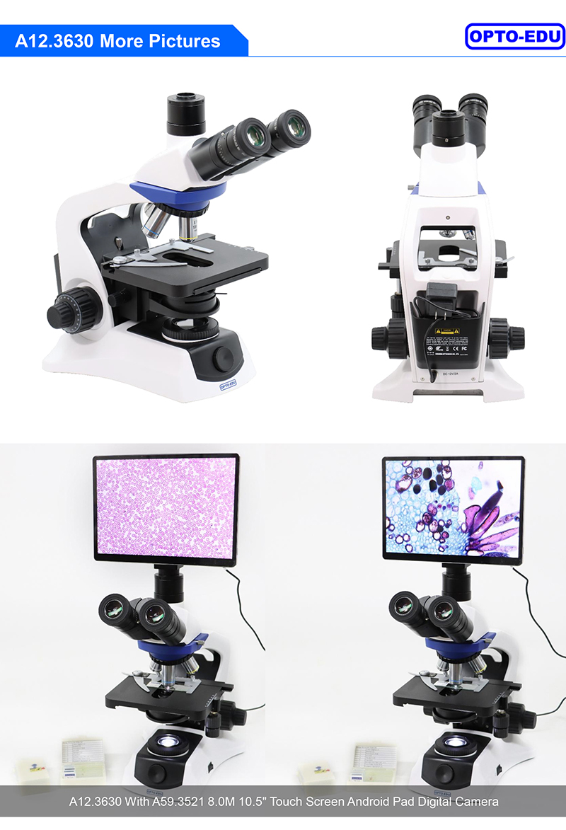 OPTO-EDU A12.3630 1000x Trinocular Biological Microscope
