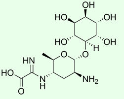 Biological Fungicide Kasugamycin 70%TC, 2%SL,10%WP, 6%WP