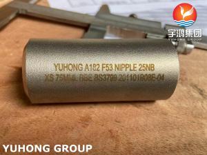 China ASTM A182 F53 Forged NPT Hex Nipple for Offshore and Marine Industry on sale