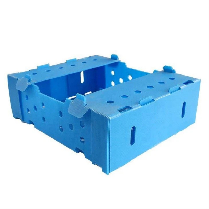 Our Fruit Packaging Box is made from durable, lightweight PP corrugated plastic, providing excellent protection for fruits during storage and