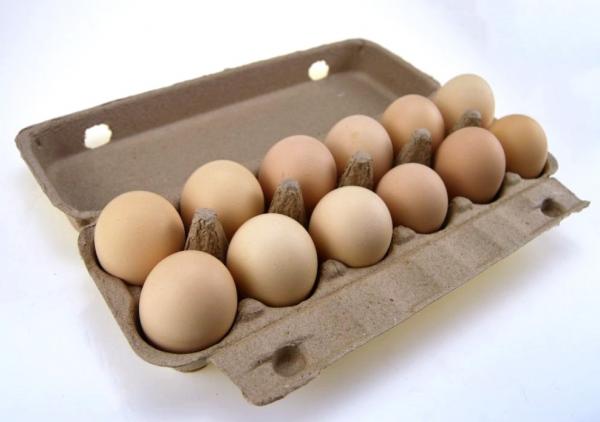 Paper Molded Renewable Egg Box Production Line 1500pcs/hr 100kw