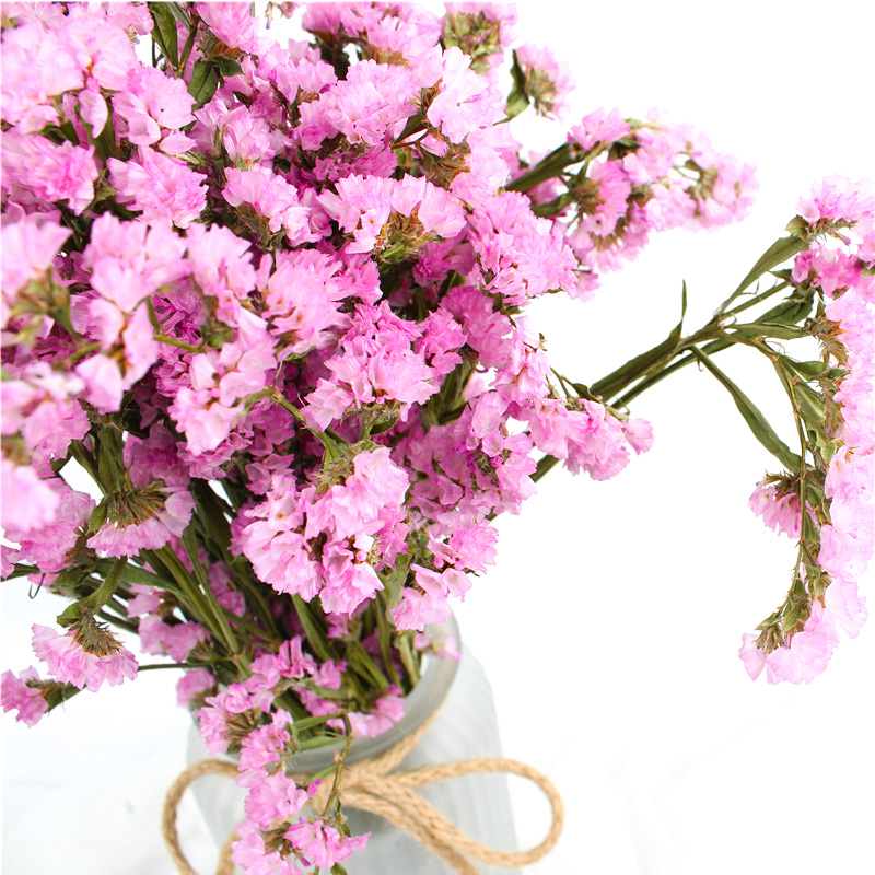 Statice Limonium Beautiful Dried Flowers Beautiful With Long Using Time